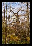 Keukenhof Hollandia 105